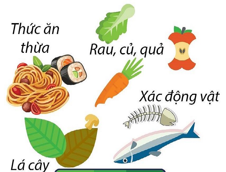 Hướng dẫn phân loại rác mới nhất của Bộ Y Tế