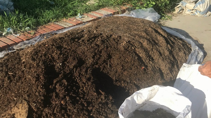 Hướng dẫn ủ phân compost đúng cách