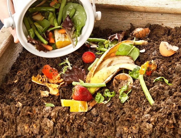 Hướng dẫn ủ phân compost đúng cách