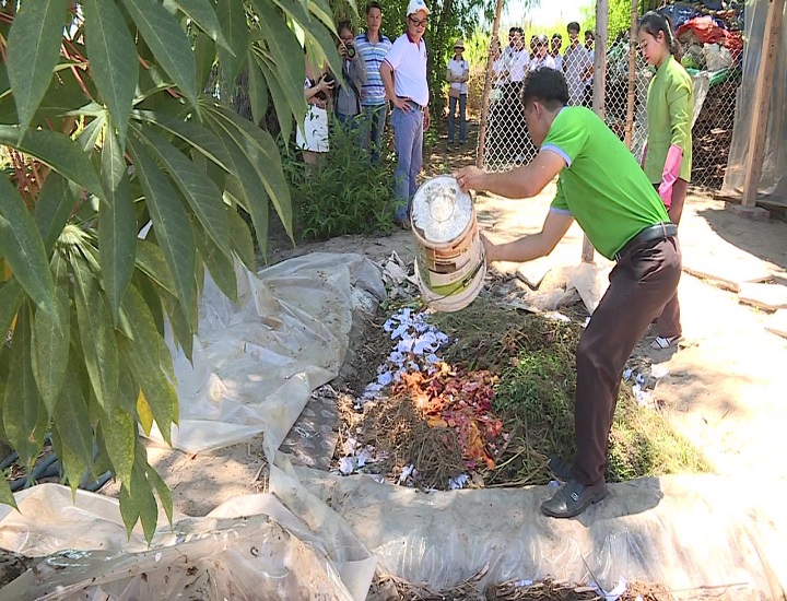 Hướng dẫn ủ rác hữu cơ từ chuyên gia