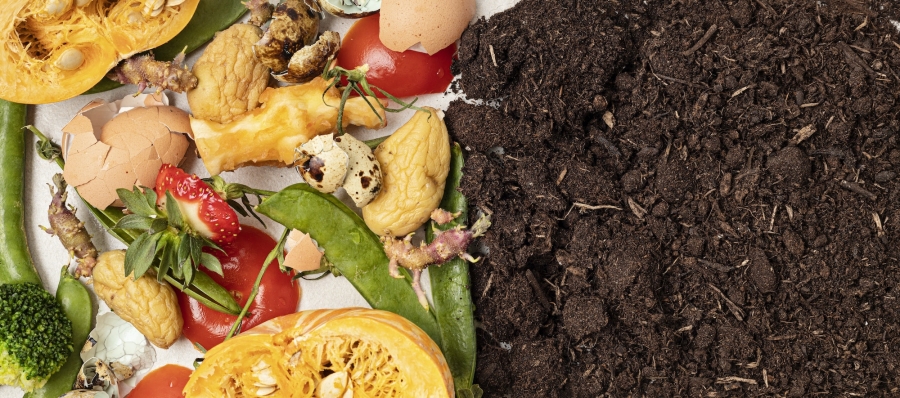 Công nghệ ủ phân compost hiện đại ứng dụng tại Việt Nam