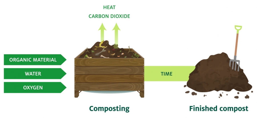 Thời gian ủ phân compost bao lâu? Cách rút ngắn quá trình hiệu quả
