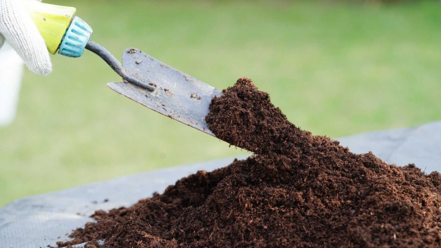Ủ phân hữu cơ bao lâu thì dùng được? Các yếu tố ảnh hưởng thời gian ủ