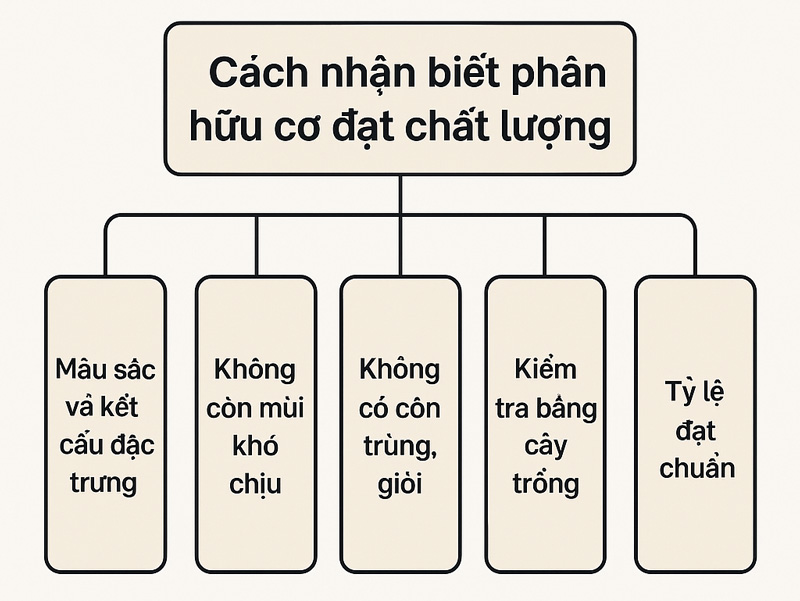 Cách làm phân hữu cơ tại nhà không mùi bằng men vi sinh EM gốc