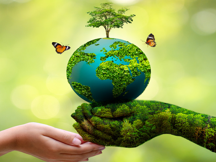 Cách thế giới truyền thông về biến đổi khí hậu và bài học rút ra