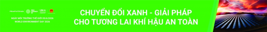 Chủ đề ngày môi trường thế giới năm 2026 - “A Global Call for Climate Action - Kêu gọi toàn cầu chung tay hành động vì khí hậu”