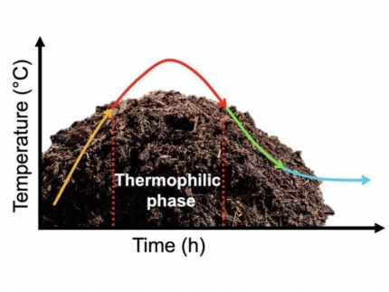 Thời gian ủ phân compost bao lâu? Cách rút ngắn quá trình hiệu quả