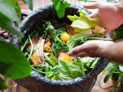 Ưu nhược điểm của phương pháp ủ phân compost bạn cần biết