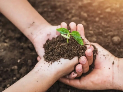 Công nghệ ủ phân compost hiện đại ứng dụng tại Việt Nam