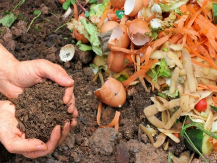 Cách làm phân hữu cơ tại nhà không mùi bằng men vi sinh EM gốc