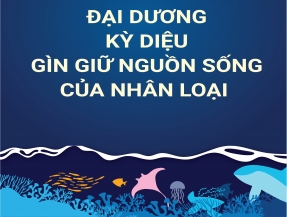 Chủ đề ngày đại dương thế giới năm 2026 “Strong Marine Protected Areas for Our Blue Planet - Các khu bảo tồn biển vững mạnh cho hành tinh xanh của chúng ta”